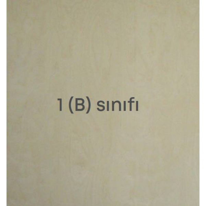 1 (B) Sınıfı