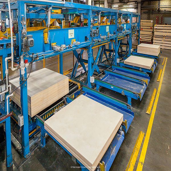 Plywood Üretim Aşamaları